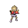 Pokémon #107