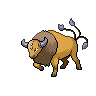 Pokémon #128