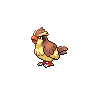 Pokémon #16