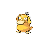 Pokémon #54