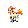Pokémon #77